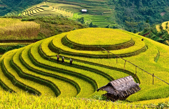 9 điểm du lịch ở Việt Nam được vinh danh trên thế giới