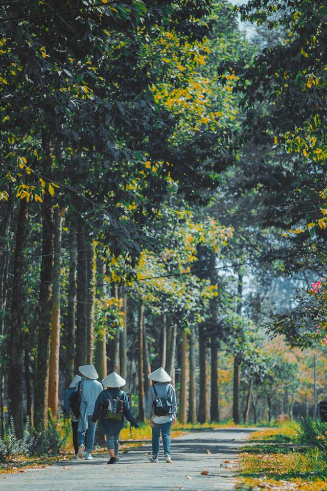 Một vé về tuổi thơ nơi đồng xanh với vườn quốc gia Nam Cát Tiên, Đồng Nai