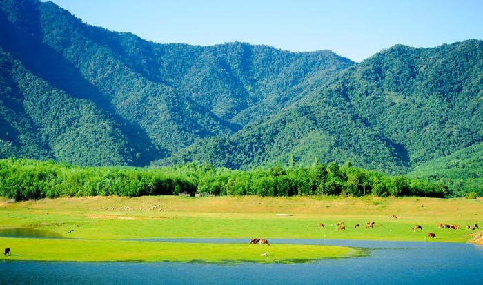 Xiêu lòng thảo nguyên hồ Hòa Trung xanh đẹp như tranh vẽ ở Đà Nẵng