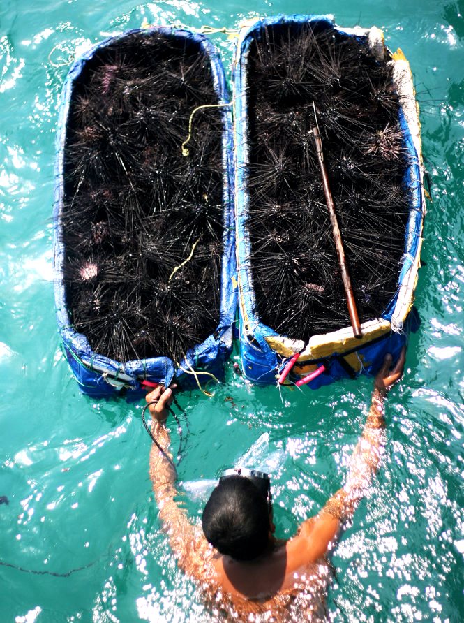 Đảo Nam Du – ‘viên ngọc thô’ níu kéo những người cuồng chân