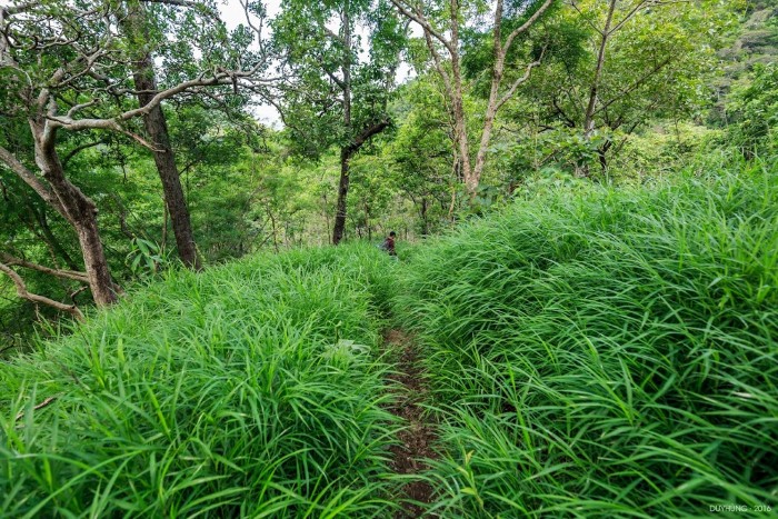 Trekking Tà Lang – Phan Dũng (Bình Thuận) hai mùa cỏ đẹp nhất nhì Việt Nam
