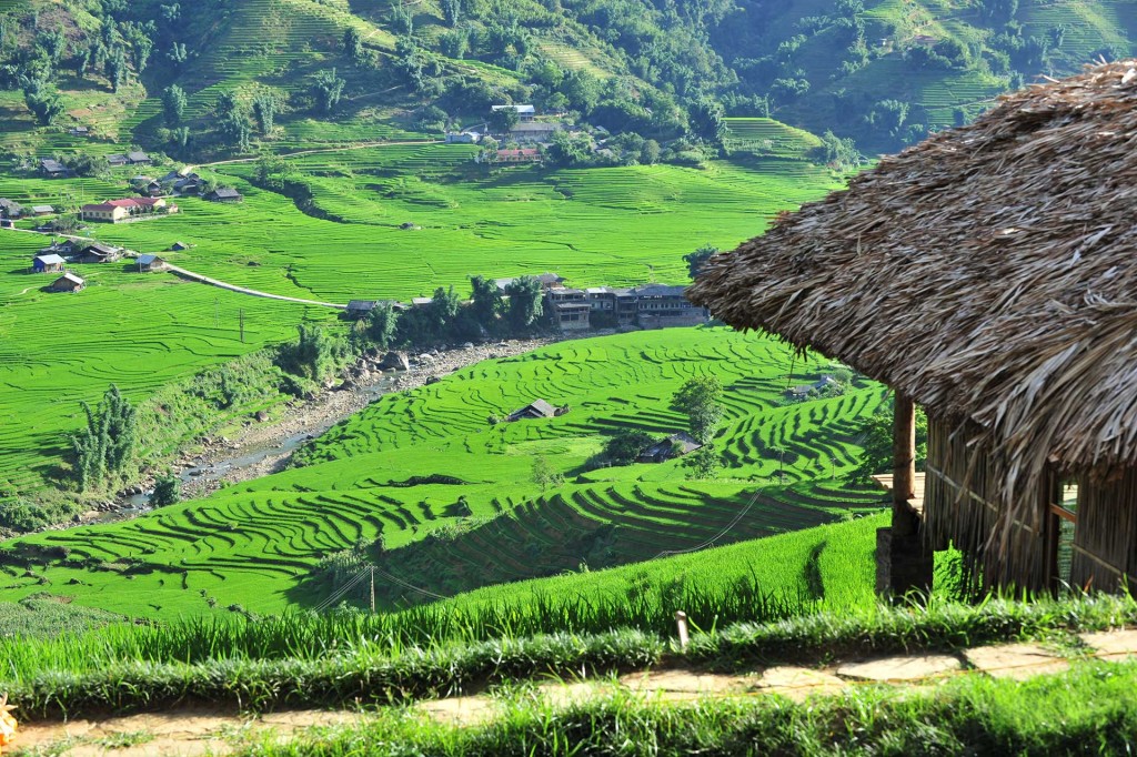 5 khách sạn view cánh đồng lúa đẹp nhất Việt Nam